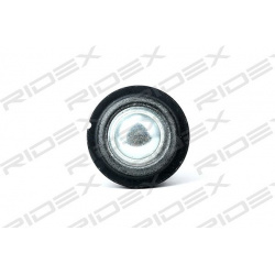 Šarnyras
                                RIDEX                                                2462S0094, Nenurodytas gaminto