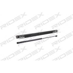 dujinė spyruoklė, bagažinė
                                RIDEX                                                219G0031,