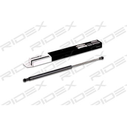 dujinė spyruoklė, bagažinė
                                RIDEX                                219G0090, Nenurodytas gam