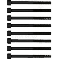 varžtų kompl., cil. galvutės varžtai
VICTOR REINZ