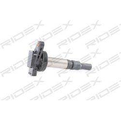 ritė, uždegimas
                                RIDEX                                                689C0092, Nenurodytas 