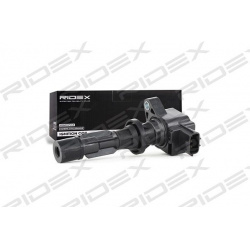 ritė, uždegimas
                                RIDEX                                                689C0130, Nenurodytas 