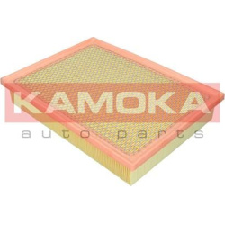 Filtras oro
                                KAMOKA                                F258801, KAMOKA, F258801, auto detalė
