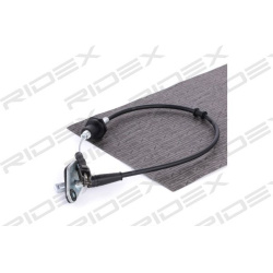 sankabos trosas
                                RIDEX                                                478S0012, Nenurodytas ga