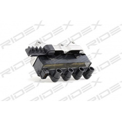 ritė, uždegimas
                                RIDEX                                                689C0075, Nenurodytas 
