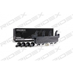 ritė, uždegimas
                                RIDEX                                                689C0067, Nenurodytas 