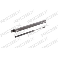 RIDEX                                                219G0415, Nenurodytas gamintojas, 219G0415, auto detalė