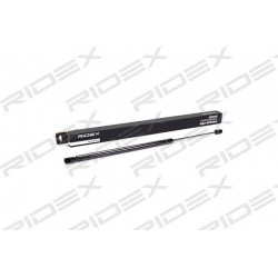 dujinė spyruoklė, gaubtas
                                RIDEX                                                514G0027, Ne