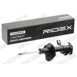 amortizatorius
                                RIDEX                                                854S0741, Nenurodytas gam
