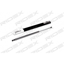 dujinė spyruoklė, bagažinė
                                RIDEX                                219G0134, Nenurodytas gam