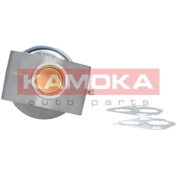ERG vožtuvas
                                KAMOKA                                19017, KAMOKA, 19017, auto detalė
