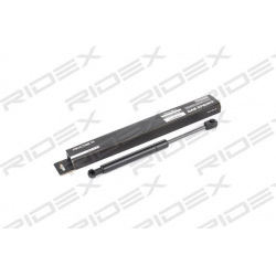 dujinė spyruoklė, gaubtas
                                RIDEX                                                514G0109, Ne