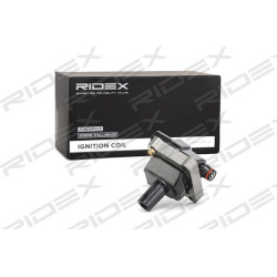 ritė, uždegimas
                                RIDEX                                                689C0028, Nenurodytas 