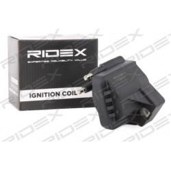 ritė, uždegimas
                                RIDEX                                689C0133, Nenurodytas gamintojas, 689C
