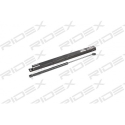 dujinė spyruoklė, bagažinė
                                RIDEX                                219G0389, Nenurodytas gam