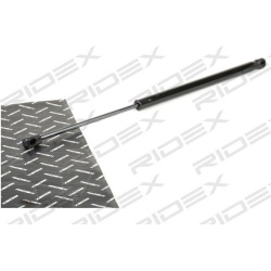 dujinė spyruoklė, bagažinė
                                RIDEX                                                219G0944,