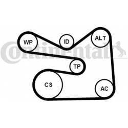 vandens siurblys + V formos rumbuotas diržas, komplektas
                                CONTINENTAL CTAM                   