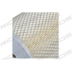 oro filtras
                                RIDEX                                8A0493, Nenurodytas gamintojas, 8A0493, auto