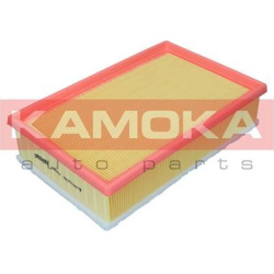 oro filtras
                                KAMOKA                                F255201, KAMOKA, F255201, auto detalė