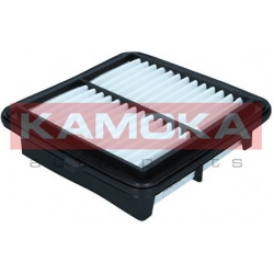oro filtras
                                KAMOKA                                F256601, KAMOKA, F256601, auto detalė