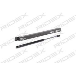 dujinė spyruoklė, gaubtas
                                RIDEX                                                514G0120, Ne