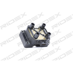 ritė, uždegimas
                                RIDEX                                                689C0053, Nenurodytas 