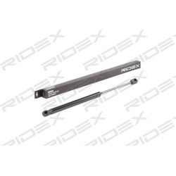 dujinė spyruoklė, bagažinė
                                RIDEX                                                219G0308,