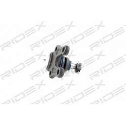 Šarnyras
                                RIDEX                                2462S0248, Nenurodytas gamintojas, 2462S0248, 