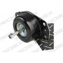 variklio montavimas
                                RIDEX                                                247E0413, Nenurodyta