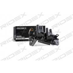 ritė, uždegimas
                                RIDEX                                                689C0099, Nenurodytas 