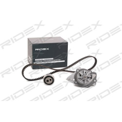 vandens siurblio ir paskirstymo diržo komplektas
                                RIDEX                                      