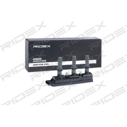 ritė, uždegimas
                                RIDEX                                                689C0304, Nenurodytas 