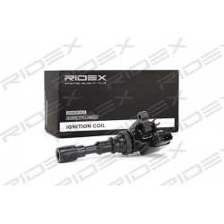 ritė, uždegimas
                                RIDEX                                                689C0177, Nenurodytas 