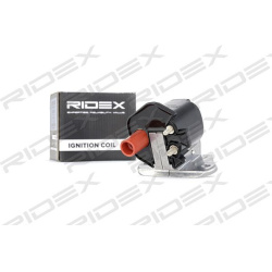 ritė, uždegimas
                                RIDEX                                                689C0243, Nenurodytas 