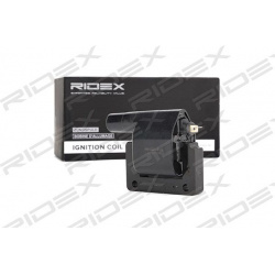 ritė, uždegimas
                                RIDEX                                                689C0108, Nenurodytas 