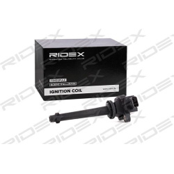 ritė, uždegimas
                                RIDEX                                                689C0293, Nenurodytas 