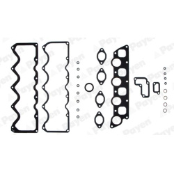tarpiklių komplektas, cilindro galva
                                PAYEN                                                DH
