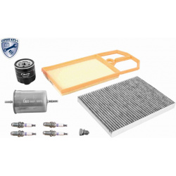 techninės priežiūros komplektas EXPERT KITS +
                                VAICO                                       