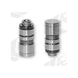 svirtis/kumštelis
                                AE                                                FOL5, AE, FOL5, auto det