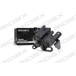 ritė, uždegimas
                                RIDEX                                689C0086, Nenurodytas gamintojas, 689C