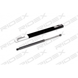 dujinė spyruoklė, bagažinė
                                RIDEX                                                219G0370,