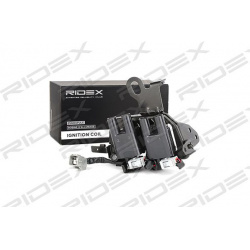 ritė, uždegimas
                                RIDEX                                                689C0132, Nenurodytas 