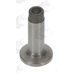 svirtis/kumštelis
AE FOL55, AE, FOL55, auto d