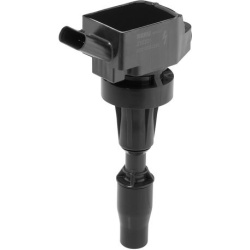 ritė, uždegimas
                                BorgWarner (BERU)                                                ZSE301, Bo
