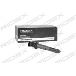 ritė, uždegimas
                                RIDEX                                                689C0224, Nenurodytas 