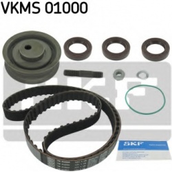 SKF                                VKMS 01000, SKF, VKMS01000, auto detalė