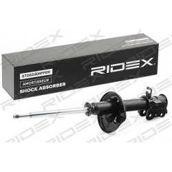 amortizatorius
RIDEX 854S1978, Nenurodytas gam