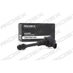 ritė, uždegimas
                                RIDEX                                                689C0094, Nenurodytas 