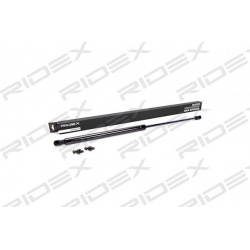 RIDEX                                                219G0322, Nenurodytas gamintojas, 219G0322, auto detalė