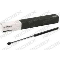 dujinė spyruoklė, gaubtas
                                RIDEX                                                514G0149, Ne